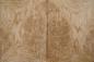 Preview: Eiche, Maser (Roseneiche) -Furnier (0,6mm) - 2,62m² (21Stk. x 39cm x 32cm)