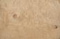 Preview: Esche Maser, weiß -Furnier (0,6mm) - 0,55m² (6Stk. x 54cm x 17cm)