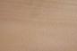 Preview: Beech, veneer