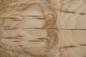 Preview: Esche Maser; oliv -Furnier (0,6mm) - 0,27m² (8Stk. x 36cm x 9,5cm)