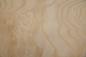 Preview: Esche Maser; oliv -Furnier (0,6mm) - 1,09m² (16Stk. x 34cm x 20cm)