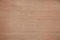 Preview: Gabon mahogany, okoumé, - veneer (0,6mm) - 14,66m² (26pcs. x 282cm x 20cm)