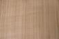 Preview: European Cherry, - veneer (2,4mm) - 0,29m² (9pcs. x 16cm x 20cm)
