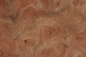 Preview: 0,6mm Rüster (Ulme) Maser Furnier 0,53m² K 24 17 13