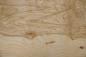 Preview: Olive Ash Burl, - veneer (0,6mm) - 3,47m² (11pcs. x 77cm x 41cm)