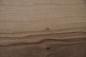 Preview: Nussbaum, europäischer -Furnier (0,9mm) - 1,67m² (18Stk. x 62cm x 15cm)