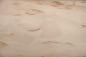 Preview: Birke Maser -Furnier (0,6mm) - 0,11m² (8Stk. x 18cm x 7,5cm)