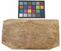 Preview: Eiche, Maser (Roseneiche) -Furnier (0,6mm) - 1,36m² (17Stk. x 38cm x 21cm)