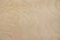 Preview: Esche Maser, weiß -Furnier (0,6mm) - 0,8m² (24Stk. x 29cm x 11,5cm)