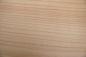 Preview: European Cherry, - veneer (0,9mm) - 0,23m² (16pcs. x 12cm x 12cm)