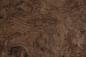 Preview: Californian Walnut Burl, - veneer (1,5mm) - 0,87m² (12pcs. x 33cm x 22cm)