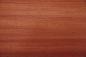 Preview: Padouk, - veneer (0,6mm) - 9,57m² (12pcs. x 301cm x 26,5cm)