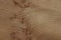 Preview: Elm partial Burl, veneer