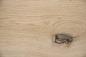 Preview: Eiche (Asteiche Wildeiche) -Furnier (0,9mm) - 8,51m² (16Stk. x 190cm x 28cm)
