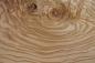 Preview: Olive Ash, veneer