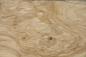 Preview: Olive Ash Burl, - veneer (0,6mm) - 1,63m² (16pcs. x 51cm x 20cm)