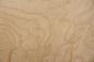 Preview: Esche Maser, weiß -Furnier (0,6mm) - 0,08m² (5Stk. x 13cm x 13cm)