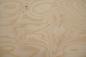 Preview: Esche Maser, weiß -Furnier (0,6mm) - 0,95m² (5Stk. x 68cm x 28cm)