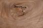 Preview: Gabon mahogany, okoumé, - veneer (0,6mm) - 1,39m² (28pcs. x 45cm x 11cm)