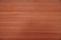 Preview: Padouk, - veneer (0,6mm) - 20,81m² (24pcs. x 255cm x 34cm)