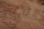 Preview: 0,6mm Rüster (Ulme) Maser Furnier 3,66m² N 12 100 30,5
