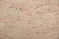 Preview: Birke Maser -Furnier (0,6mm) - 0,44m² (12Stk. x 33cm x 11cm)