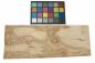 Preview: Esche Maser; oliv -Furnier (0,6mm) - 0,92m² (12Stk. x 45cm x 17cm)