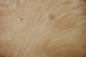 Preview: Myrtle Burl; Pepperwood; Laurel, - veneer (0,6mm) - 0,56m² (22pcs. x 17cm x 15cm)