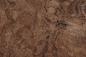 Preview: Californian Walnut Burl, - veneer (1,4mm) - 0,94m² (8pcs. x 38cm x 31cm)