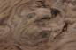 Preview: American Black Walnut, - veneer (1,4mm) - 0,44m² (7pcs. x 26cm x 24cm)