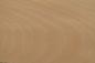 Preview: 0.6mm Platane Furnier 1m² N 19 35 15