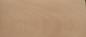 Preview: 0.6mm Platane Furnier 1m² N 19 35 15