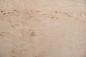 Preview: Birke Maser -Furnier (0,6mm) - 0,36m² (12Stk. x 27cm x 11cm)