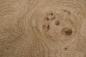 Preview: Knotty Oak, - veneer (0,9mm) - 9,36m² (16pcs. x 325cm x 18cm)