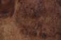 Preview: Californian Walnut Burl, - veneer (0,6mm) - 2,12m² (11pcs. x 55cm x 35cm)