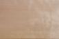Preview: Yellow Birch, veneer