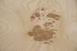 Preview: Esche Maser; oliv -Furnier (0,6mm) - 1,15m² (6Stk. x 52cm x 37cm)