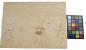 Preview: Esche Maser; oliv -Furnier (0,6mm) - 1,15m² (6Stk. x 52cm x 37cm)