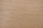 Preview: Hickory -Furnier (0,6mm) - 0,67m² (22Stk. x 21cm x 14,5cm)