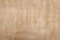 Preview: Quilted Maple, - veneer (0,6mm) - 0,88m² (16pcs. x 23cm x 24cm)