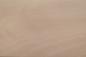 Preview: 0.6mm Platane Furnier 1.02m² P 22 31 15