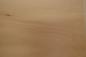 Preview: 0.6mm Platane Furnier 1.25m² P 8 40 39