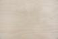 Preview: Birch, - veneer (0,6mm) - 8,81m² (23pcs. x 219cm x 17,5cm)