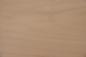 Preview: Buche -Furnier (0,6mm) - 8,24m² (24Stk. x 229cm x 15cm)