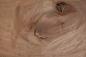 Preview: Gabon mahogany, okoumé, - veneer (0,6mm) - 4,68m² (28pcs. x 152cm x 11cm)