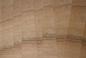 Preview: European Walnut, - veneer (1,4mm) - 0,07m² (10pcs. x 5,5cm x 13cm)