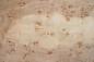 Preview: Pappel Maser (Mapa) -Furnier (0,6mm) - 17,16m² (24Stk. x 130cm x 55cm)