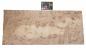 Preview: Pappel Maser (Mapa) -Furnier (0,6mm) - 17,16m² (24Stk. x 130cm x 55cm)