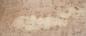 Preview: Pappel Maser (Mapa) -Furnier (0,6mm) - 17,16m² (24Stk. x 130cm x 55cm)