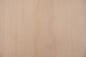 Preview: Buche -Furnier (2,4mm) - 0,57m² (8Stk. x 17cm x 42cm)